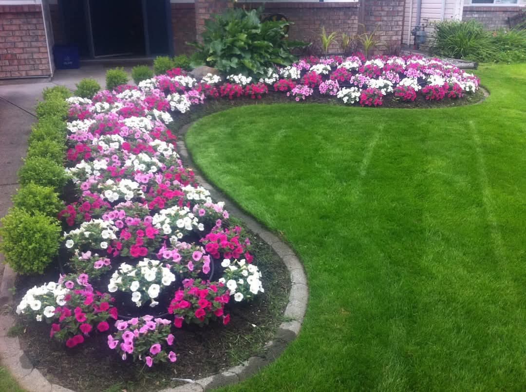 Colorful landscaped garden border